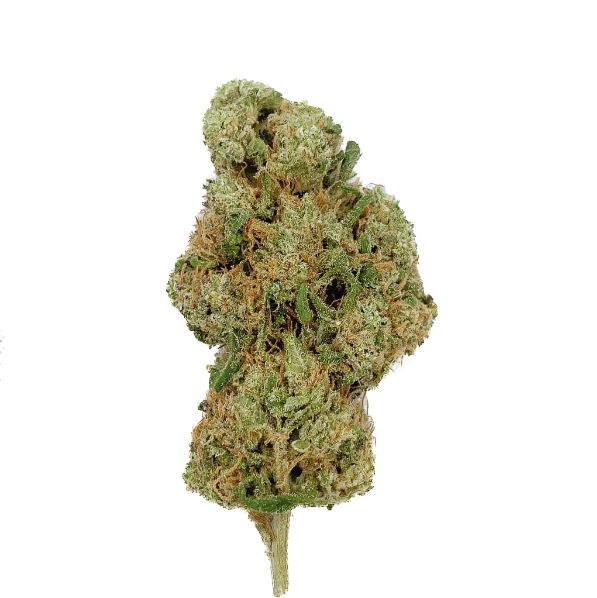 đ Mango Rainbow CBD â Big Bud â Indoor Hydro | Fleur CBD FruitĂ© & ĂpicĂ©