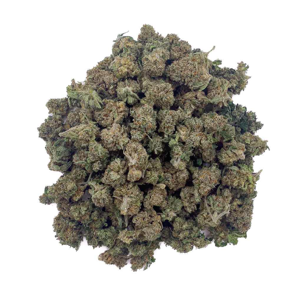 🌿 Fleur Critical 2.0 CBD – Fleur Premium – Indoor Hydro