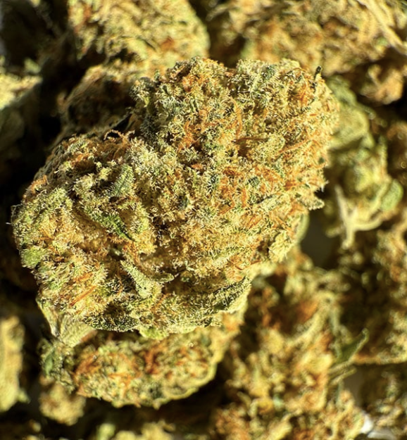 🌸 Fleur CBD - Runtz Muffin CBD – Bud Mix – Indoor Hydro