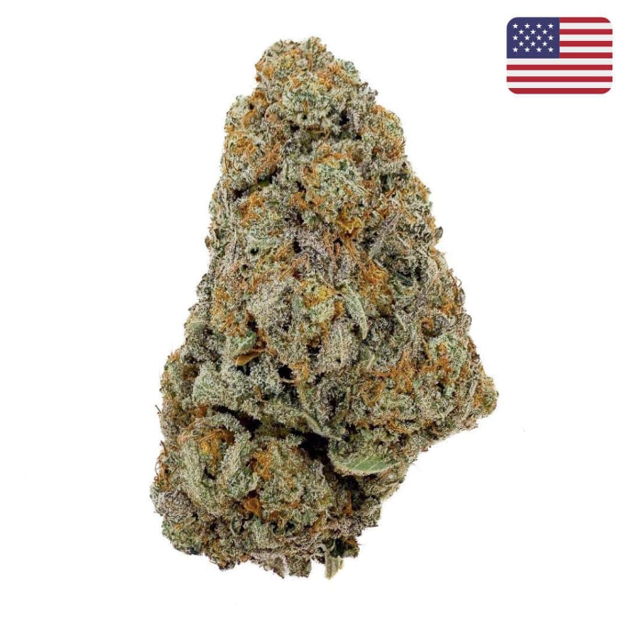 🍦 Fleur ButterCream Gelato CBD – Big Bud – Indoor Cali 🇺🇸