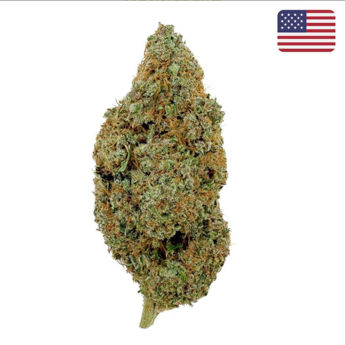 🌌 Fleur Skywalker OG CBD – Big Bud – Indoor Cali 🇺🇸