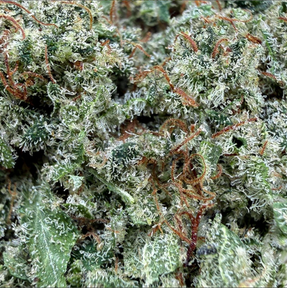 ❄️ Iced Runtz CBD – Bud Mix – Indoor Cali