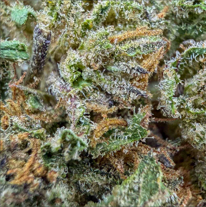🍪 Cosmic Cookie CBD – [A-] – Glass-House – Cali