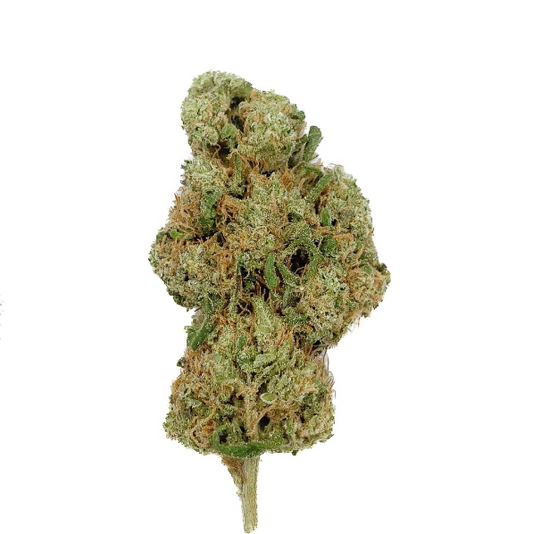 🌈 Mango Rainbow CBD – Big Bud – Indoor Hydro | Fleur CBD Fruité & Épicé