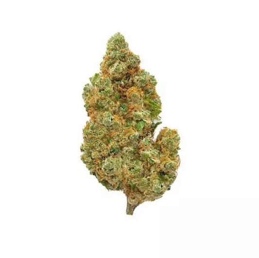 🌪️ Fleur Amnesia Haze CBD – Big Bud – Indoor Hydro