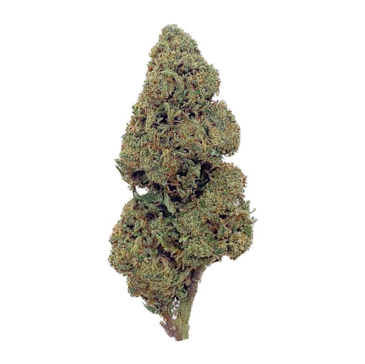 🍭 Fleur Candy Kush CBD – Bud Mix – Glass-House