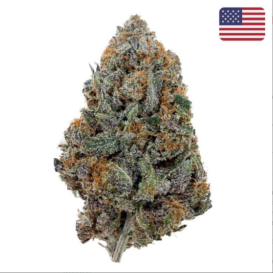 🍓 Fleur Red Runtz CBD – Big Bud – Indoor Cali  🇺🇸