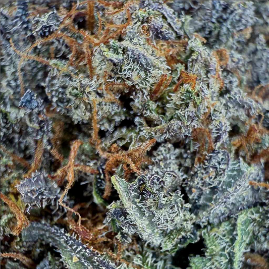 🍓 Fleur Red Runtz CBD – Big Bud – Indoor Cali  🇺🇸