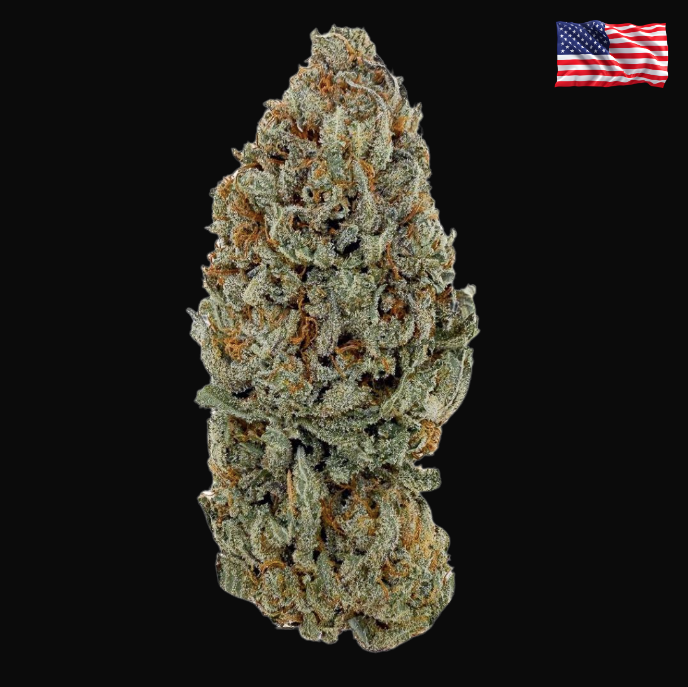 ⛽ Sour Diesel CBD – Big Bud – Indoor Cali 🇺🇸