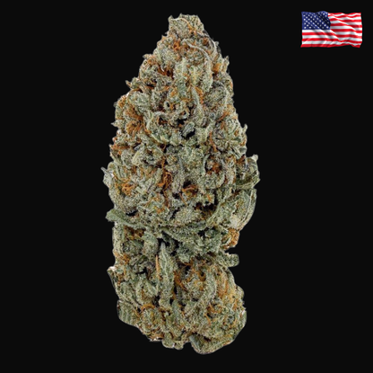 ⛽ Sour Diesel CBD – Big Bud – Indoor Cali 🇺🇸